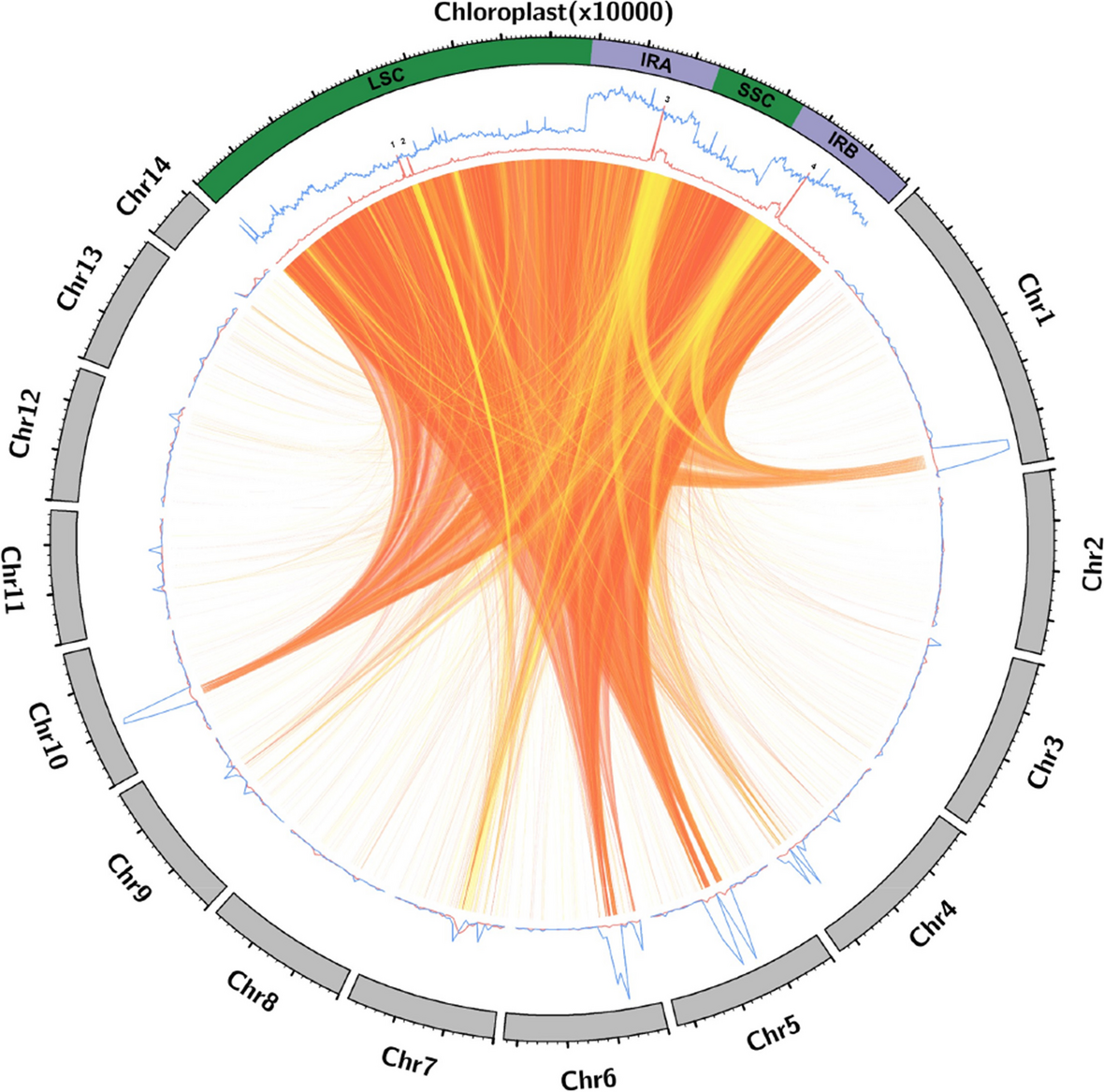 Spatial and temporal characterization of the rich fraction of plastid DNA  present in the nuclear genome of Moringa oleifera reveals unanticipated  complexity in NUPTs´ formation | BMC Genomics | Springer Nature Link
