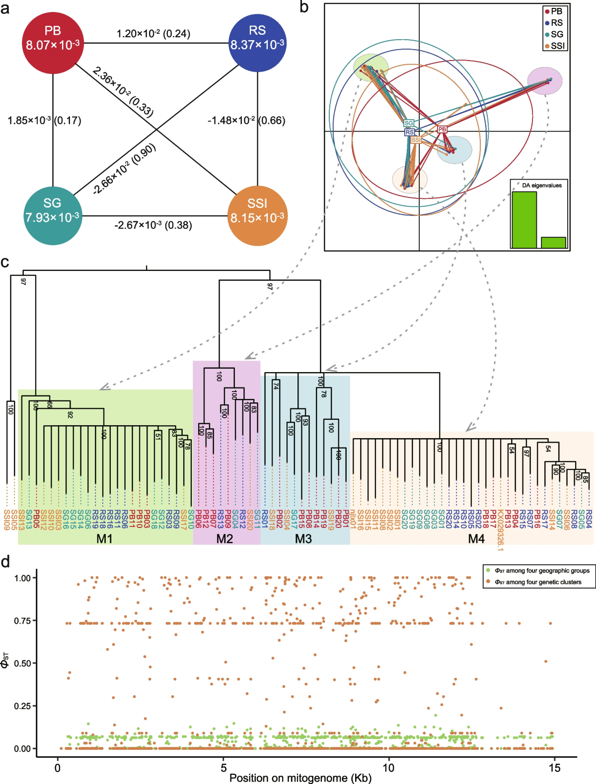 Complete mitogenomes reveal high diversity and recent population dynamics  in Antarctic krill | BMC Genomics