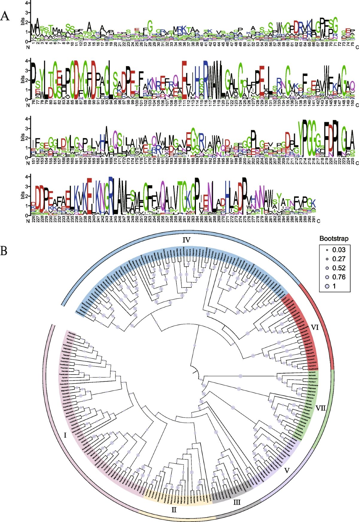 Comparative genomics analysis provides insights into evolution and stress  responses of Lhcb genes in Rosaceae fruit crops | BMC Plant Biology |  Springer Nature Link