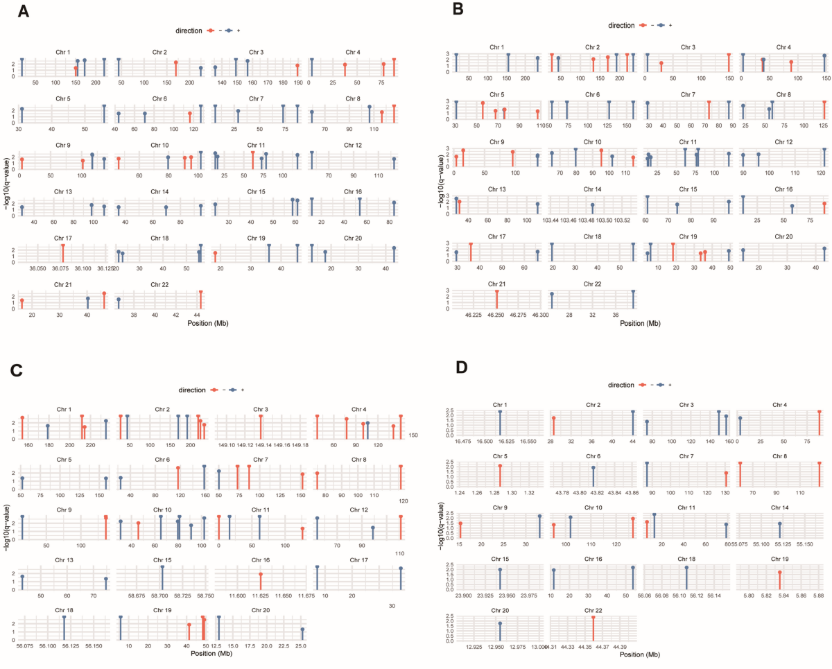 The COMIX polarimeter: a compact device for XUV polarization analysis, image size:1200x965