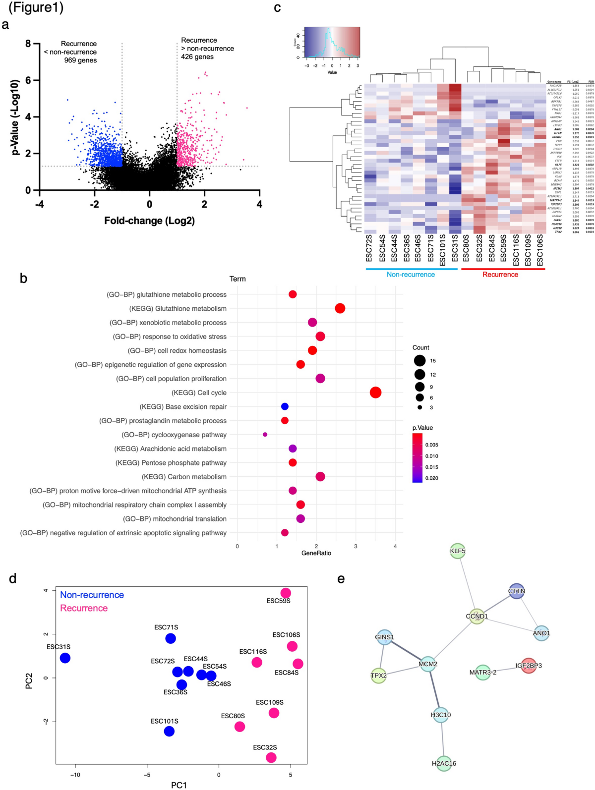 glutathione metabolism kegg Glutathione metabolism–associated resistance to cisplatin and 5-FU in  esophageal cancer: a paired transcriptomic study | BMC Gastroenterology