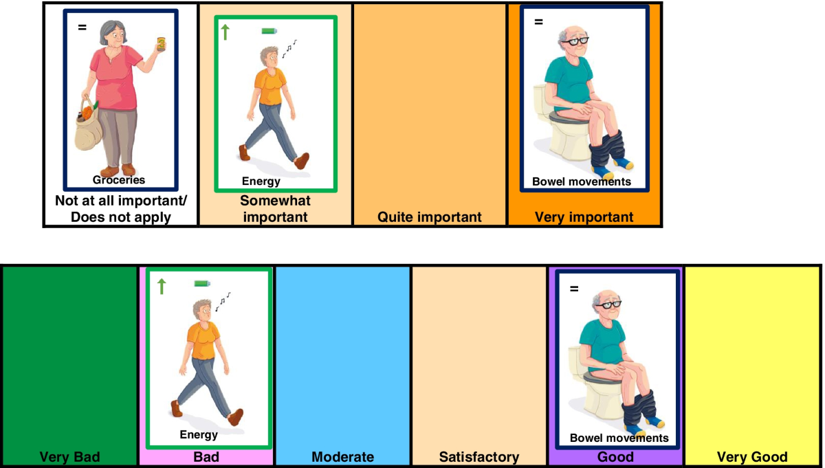 Adaptation of the Patient Benefit Assessment Scale for Hospitalised Older  Patients: development, reliability and validity of the P-BAS picture  version | BMC Geriatrics | Springer Nature Link