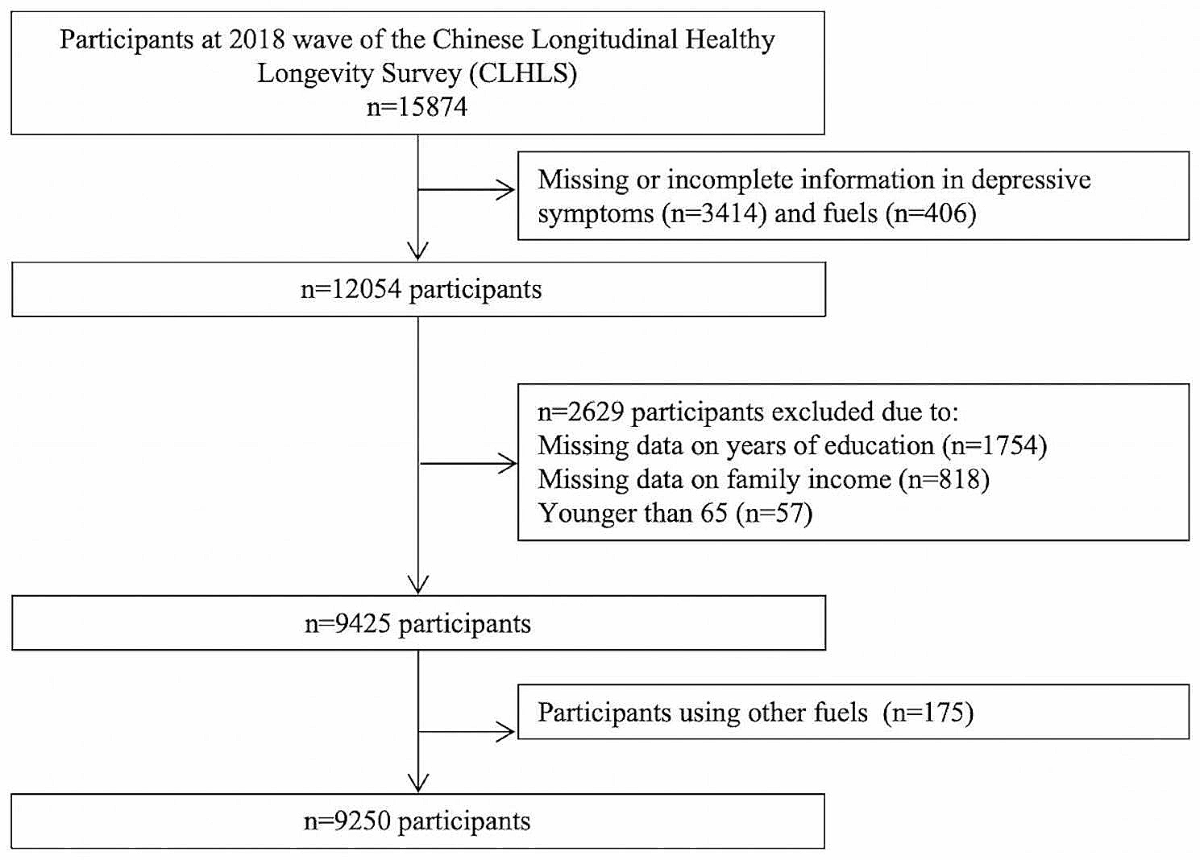 Solid fuel use, socioeconomic status and depression: a cross-study of older  adults in China | BMC Geriatrics