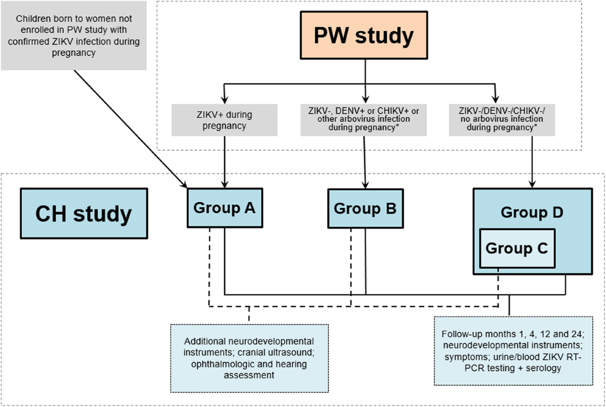 Bruno Khouri Fortuna and Relationships Insights⚰️ Descubra o mundo das