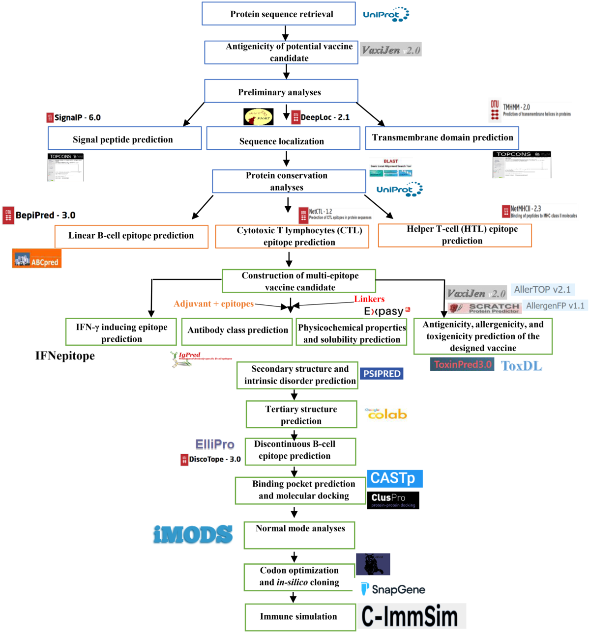 In-silico design of a multi-epitope vaccine candidate against Strongyloides stercoralis | BMC Infectious Diseases