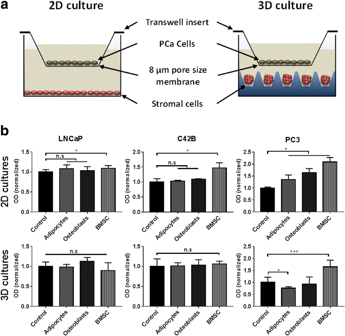 Using high throughput microtissue culture to study the difference in  prostate cancer cell behavior and drug response in 2D and 3D co-cultures |  BMC Cancer | Springer Nature Link