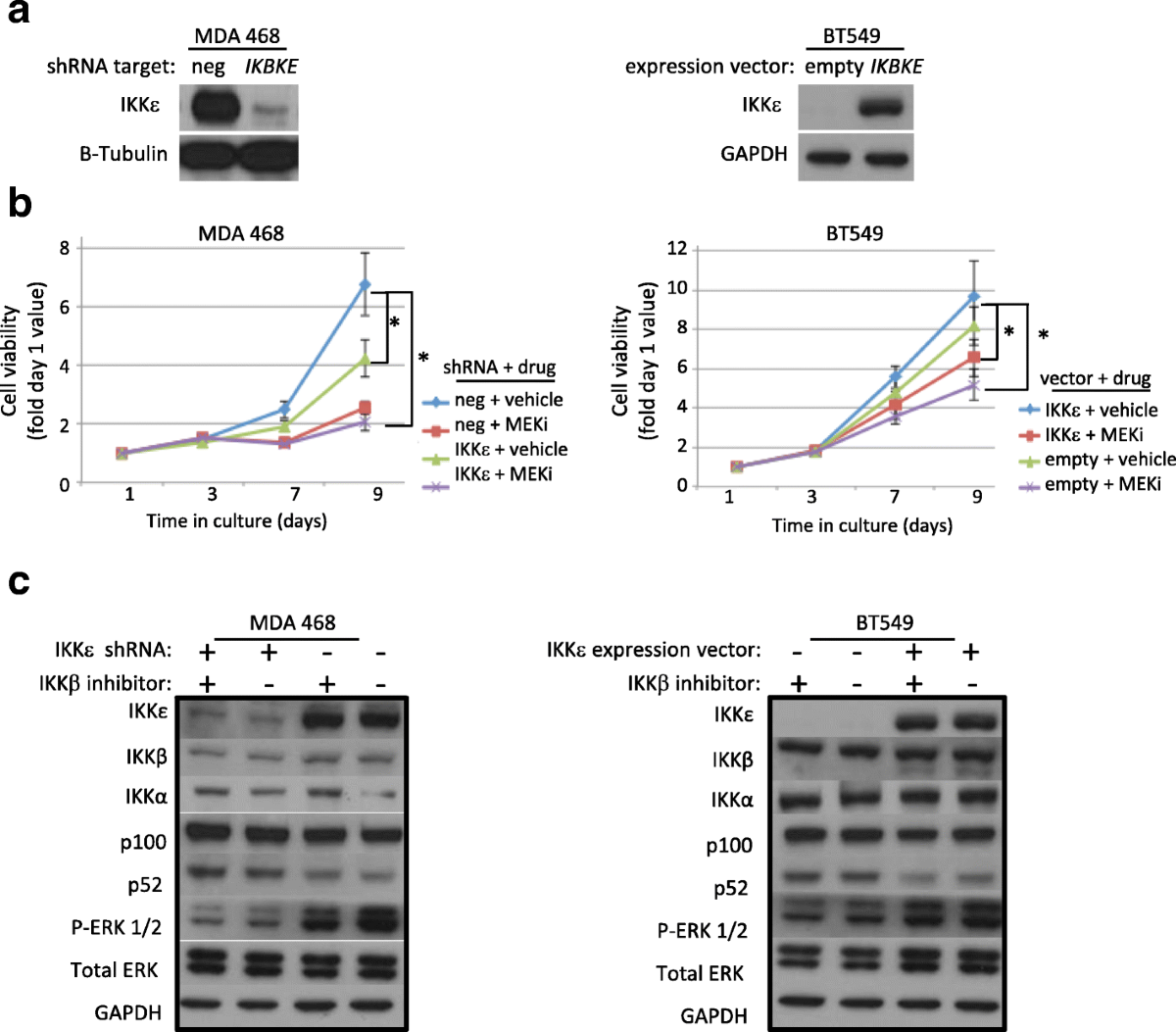 IΚΚε cooperates with either MEK or non-canonical NF-kB driving growth of triple-negative breast cancer cells in different contexts | BMC Cancer | Full Text i-cooperates-with-either-mek-or-non-canonical-nf-kb-driving-growth-of-triple-negative-breast-cancer-cells-in-different-contexts-bmc-cancer-full-text