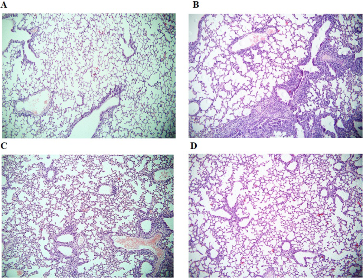 nude siberian mouse in car