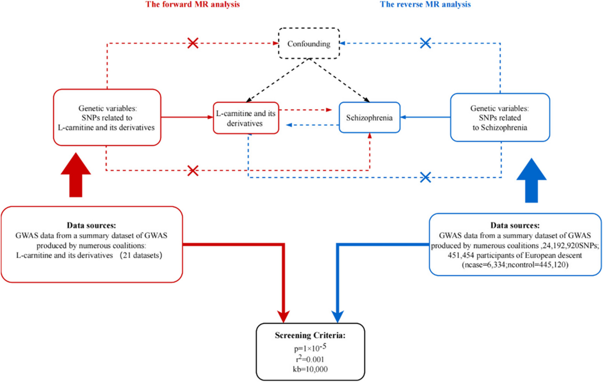 acetyl l carnitine schizophrenia Evaluating the causal relationship of Levo-carnitine and risk of  schizophrenia: a bidirectional two-sample mendelian randomization study |  BMC Psychiatry