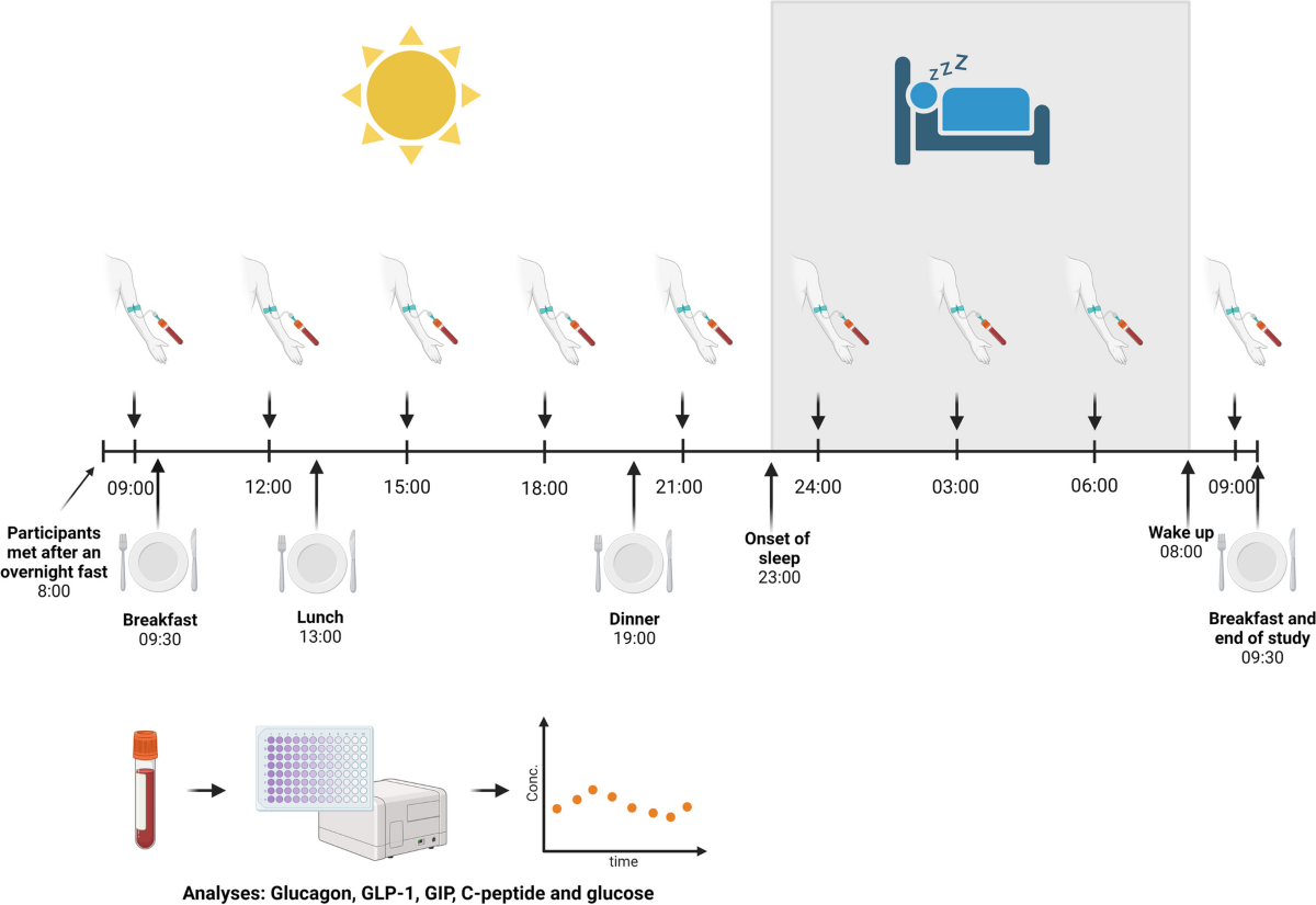 glp 1 sleep disturbance Secretion of glucagon, GLP-1 and GIP may be affected by circadian rhythm in  healthy males | BMC Endocrine Disorders