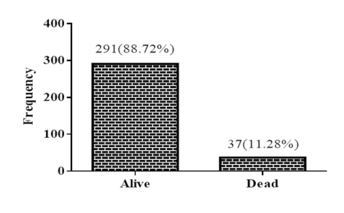 Predictive models and determinants of mortality among T2DM patients in a  tertiary hospital in Ghana, how do machine learning techniques perform? |  BMC Endocrine Disorders