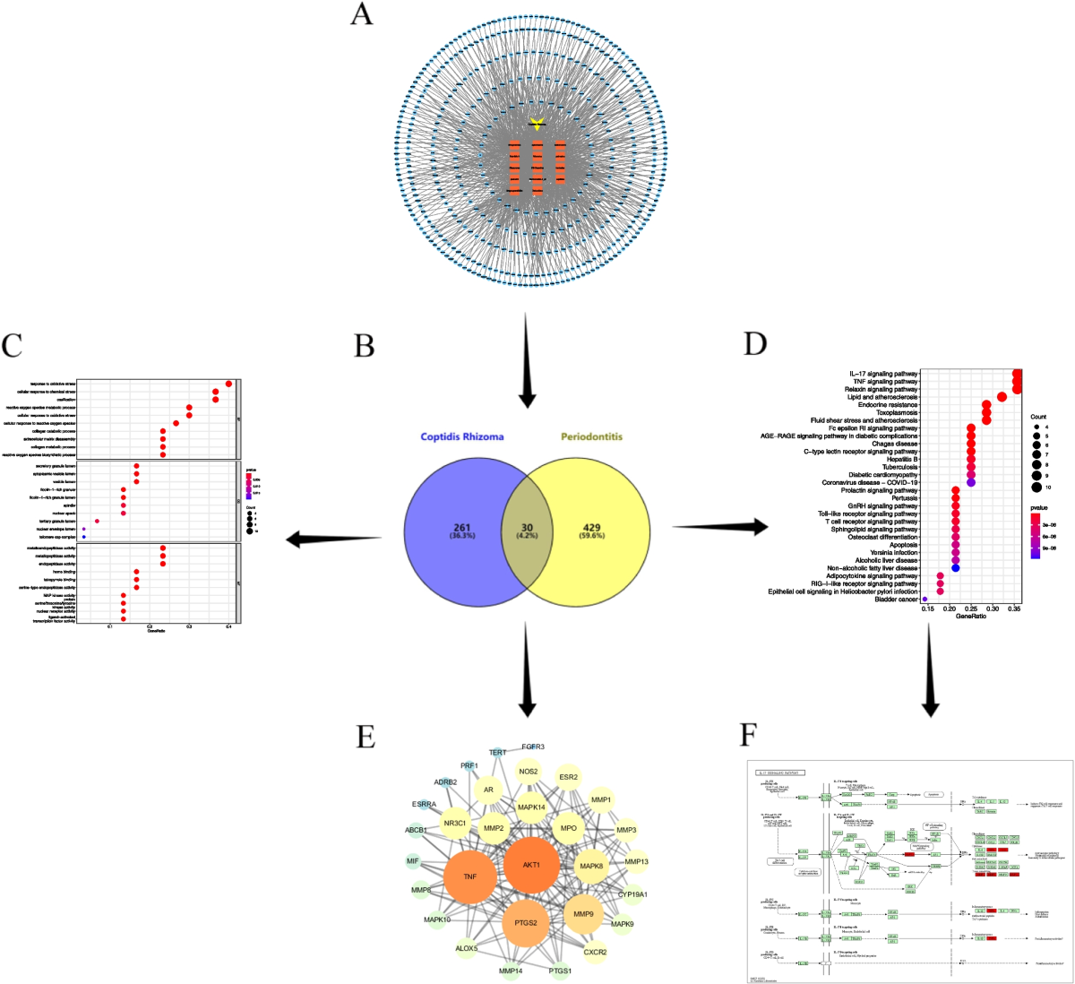 Mechanism of action of Coptidis Rhizome in treating periodontitis based on network pharmacology and in vitro validation | BMC Oral Health | Full Text mechanism-of-action-of-coptidis-rhizome-in-treating-periodontitis-based-on-network-pharmacology-and-in-vitro-validation-bmc-oral-health-full-text