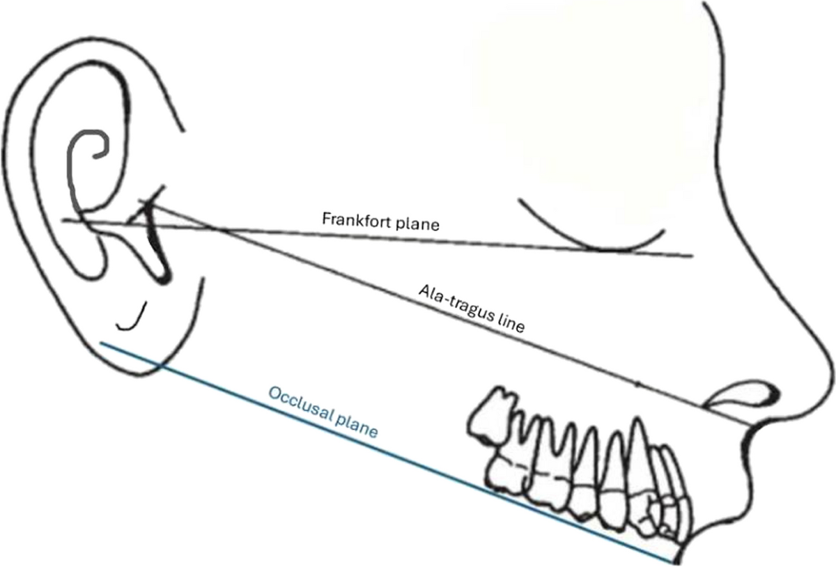 12903_2024_5132_Fig1_HTML.png