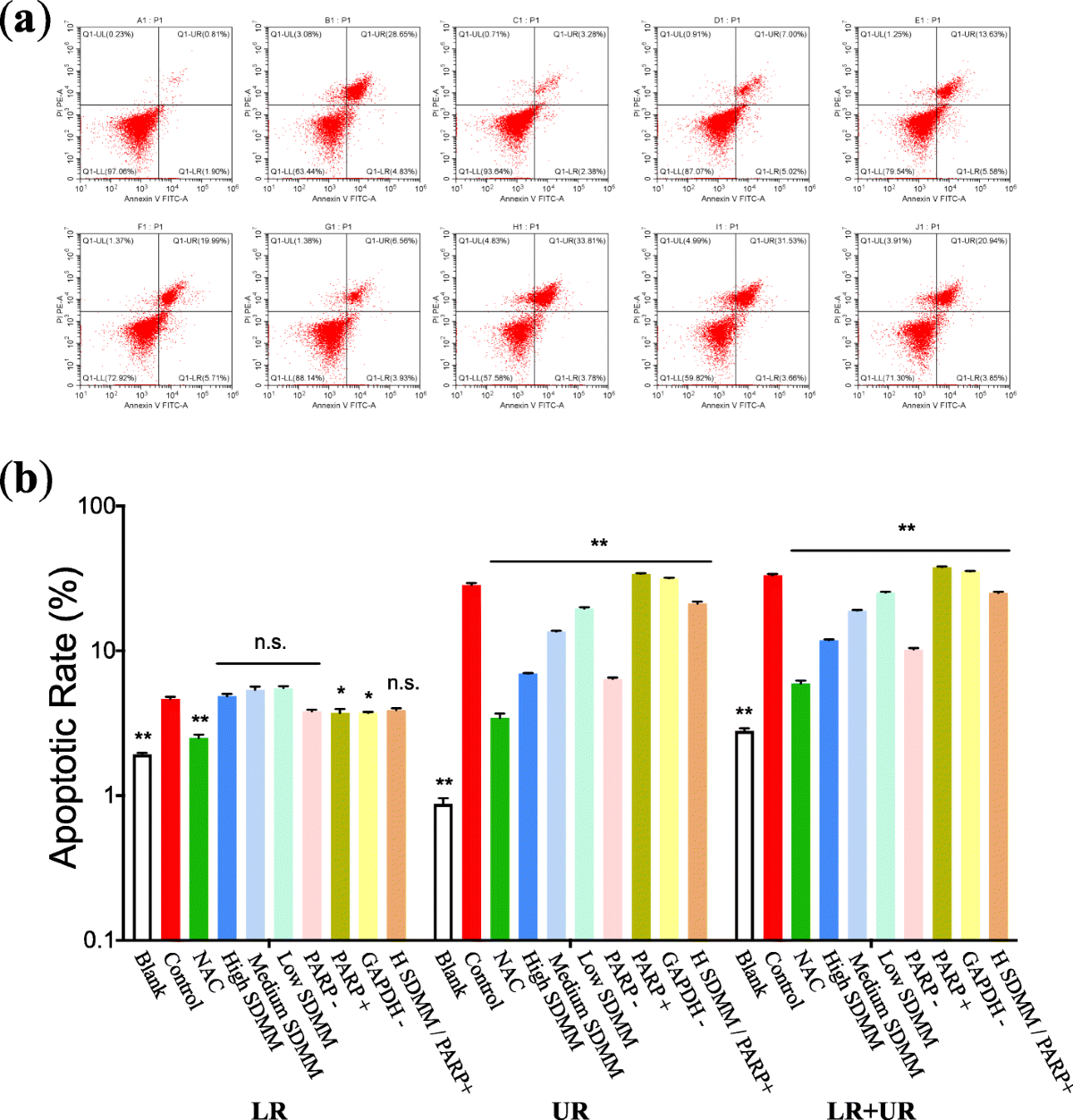 Effect of Shuangdan Mingmu capsule, a Chinese herbal formula, on oxidative  stress-induced apoptosis of pericytes through PARP/GAPDH pathway | BMC  Complementary Medicine and Therapies | Springer Nature Link