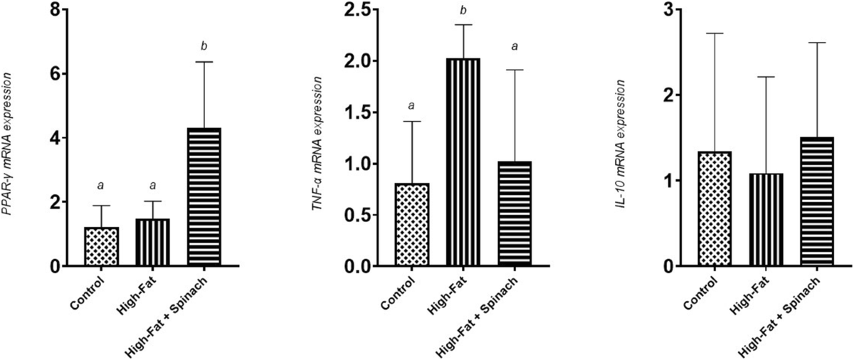 spinach glutathione content Administration of hydro-alcoholic extract of improves oxidative stress and inflammation in high-fat diet-induced NAFLD rats | BMC Complementary Medicine and Therapies skin lightening for dark lips