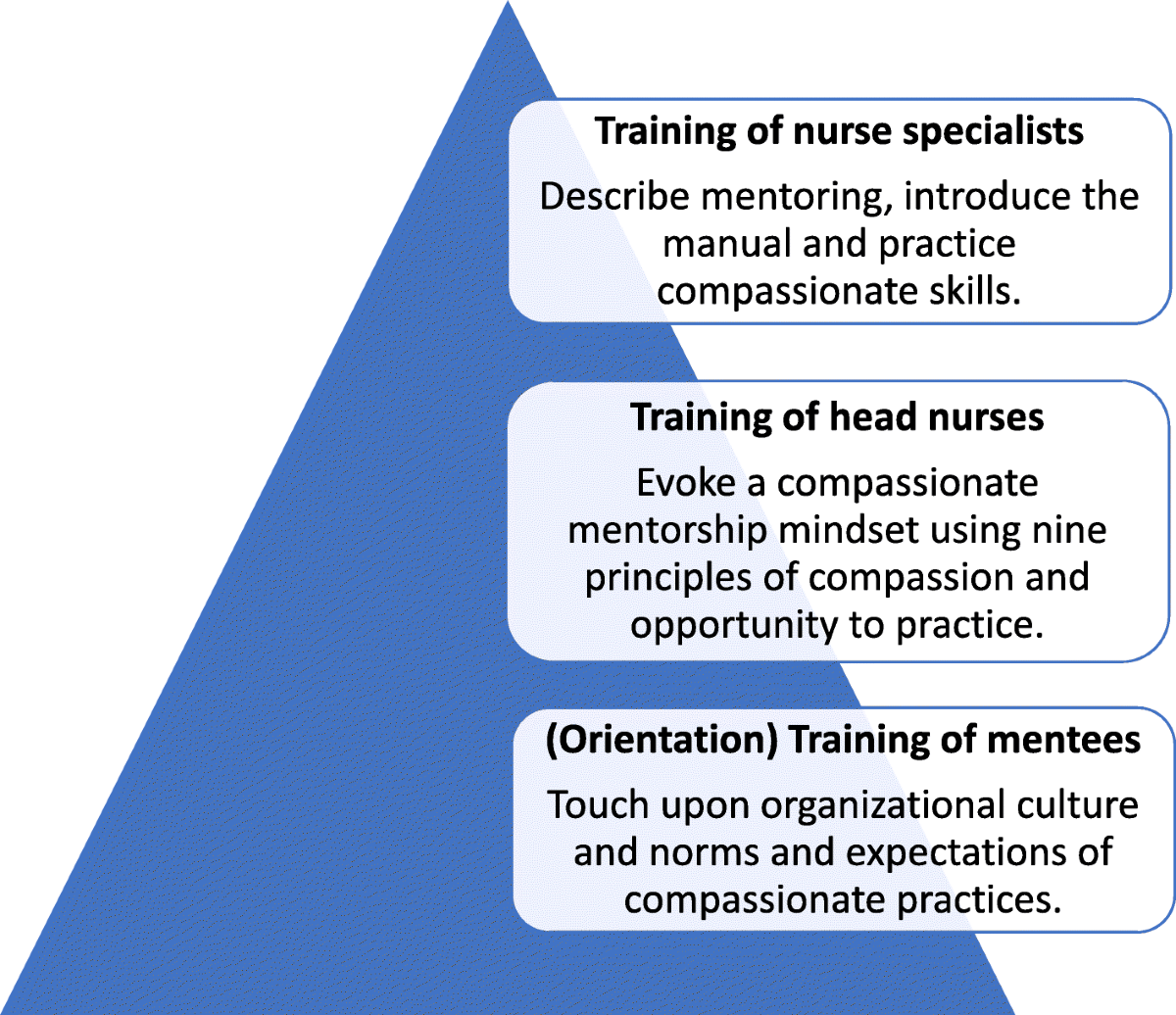 Mentorship program framework