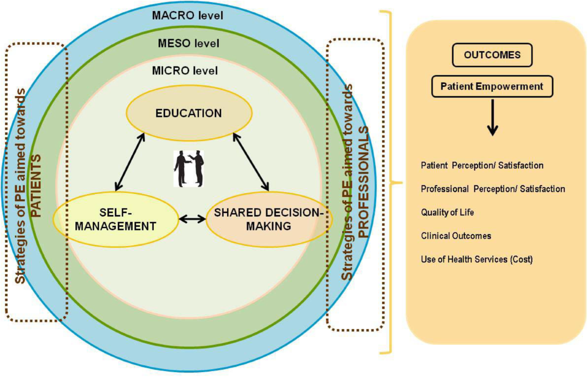 A new understanding of health related empowerment in the context of an  active and healthy ageing | BMC Health Services Research | Springer Nature  Link