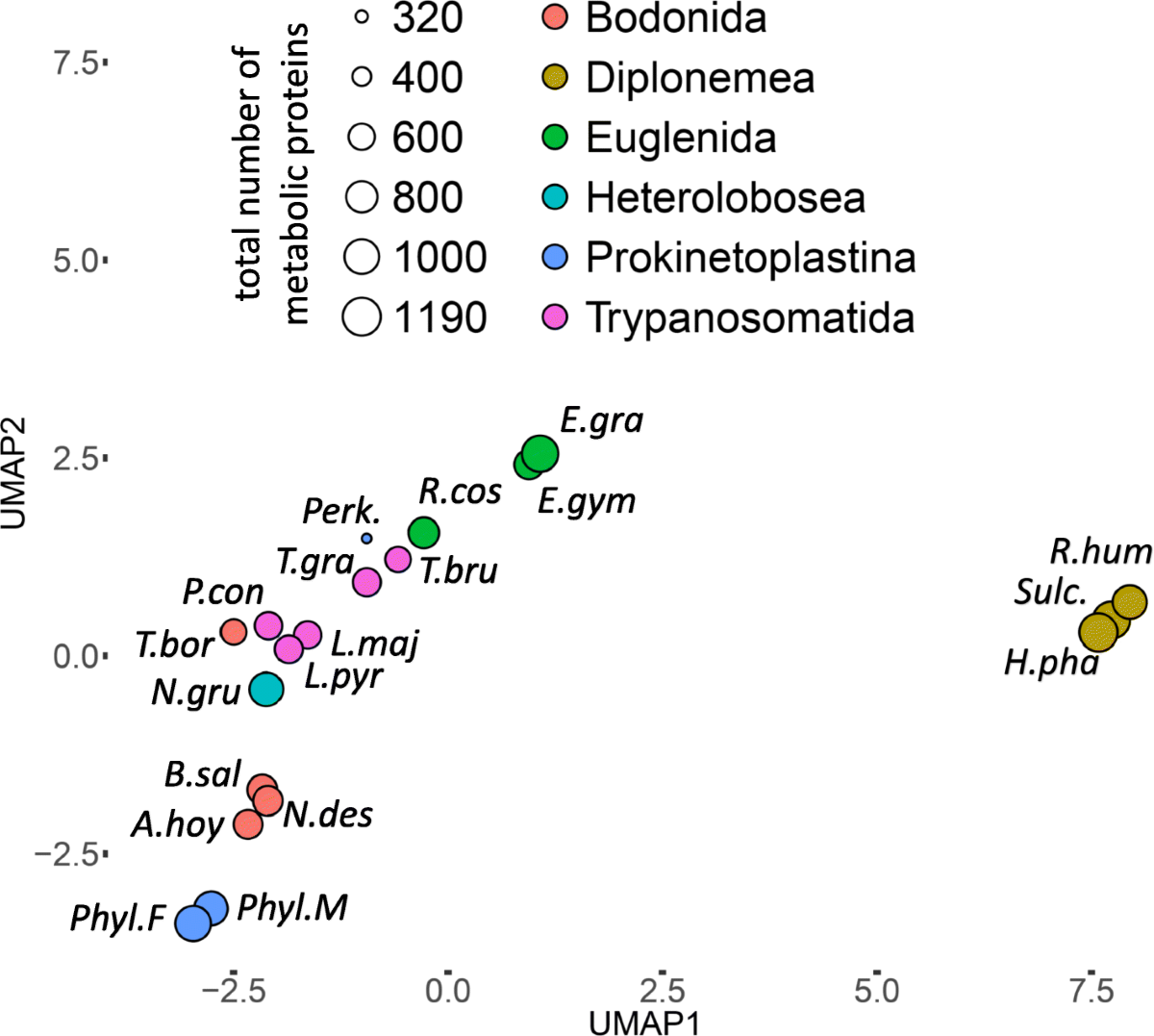 Mega Molecules Biochemistry Model Kit - 430 Piece Organic Chemistry Set For 3D Molecular Building