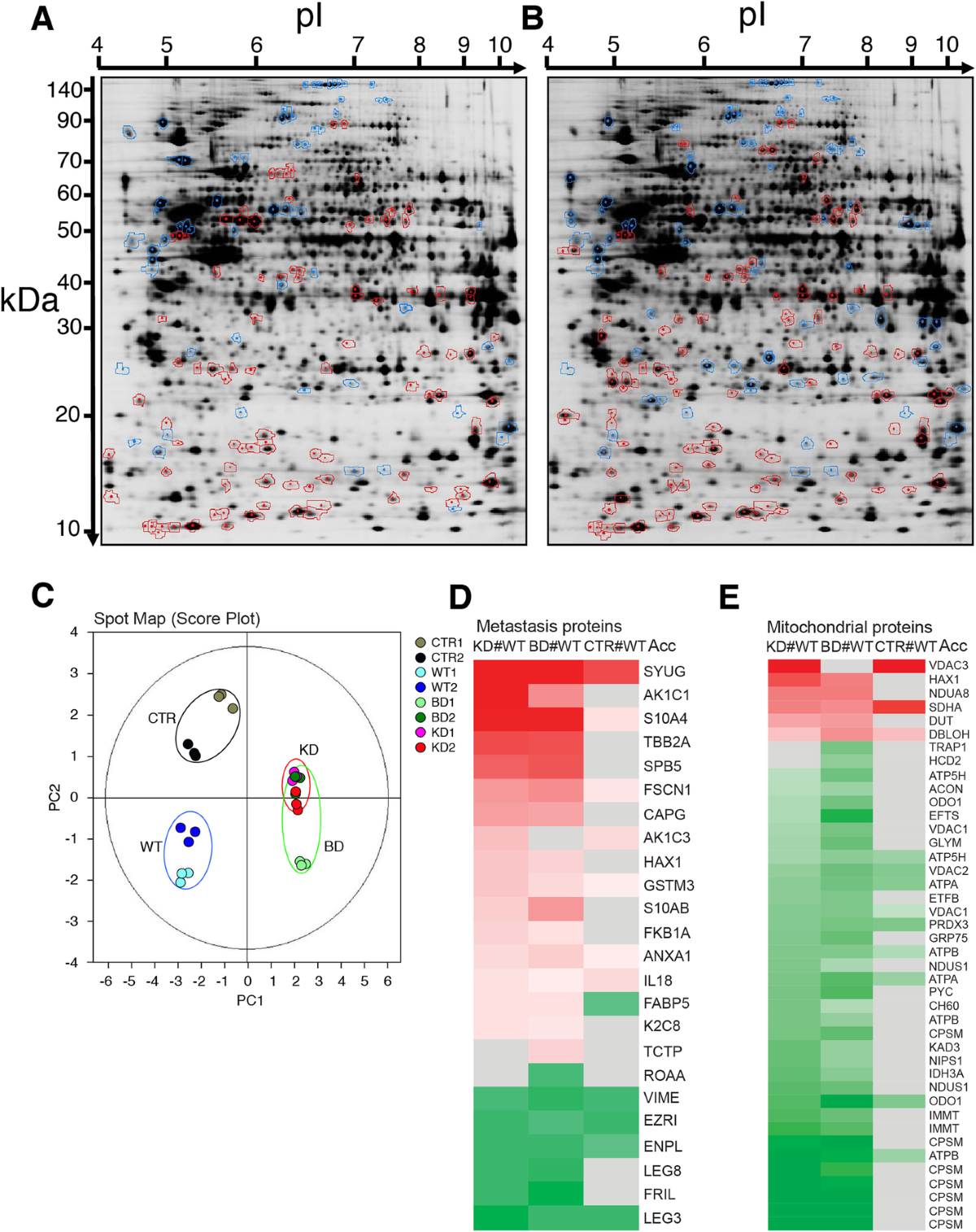 III. Quy trình xác nhận tên qua đường link https://m.facebook.com/login/checkpoint/