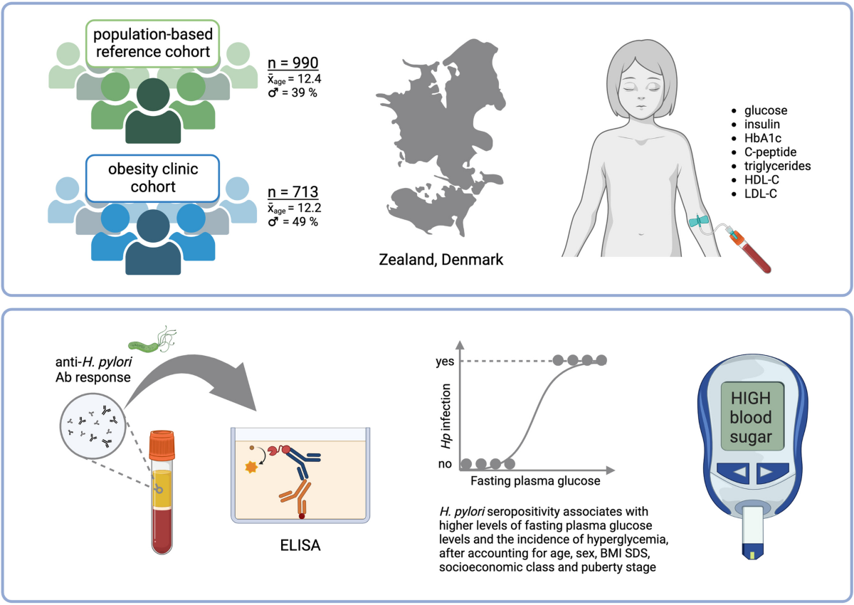 helicobacter pylori glutathione peroxidase seropositivity associates with hyperglycemia, but not obesity, in Danish children and adolescents | BMC Medicine bikini white