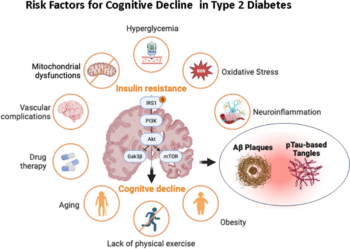 The double life of glucose metabolism: brain health, glycemic homeostasis,  and your patients with type 2 diabetes | BMC Medicine