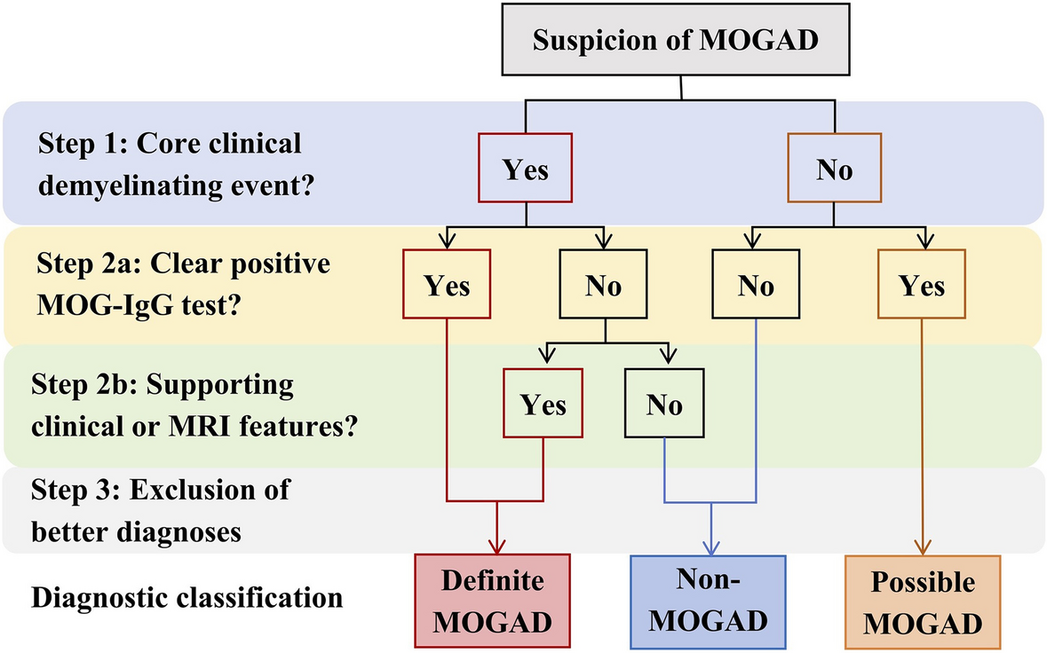 Performance of the 2023 diagnostic criteria for MOGAD: real-world  application in a Chinese multicenter cohort of pediatric and adult patients  | BMC Medicine | Springer Nature Link