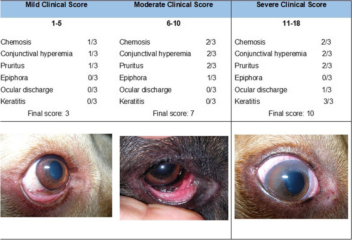 human conjunctivitis drops for dogs