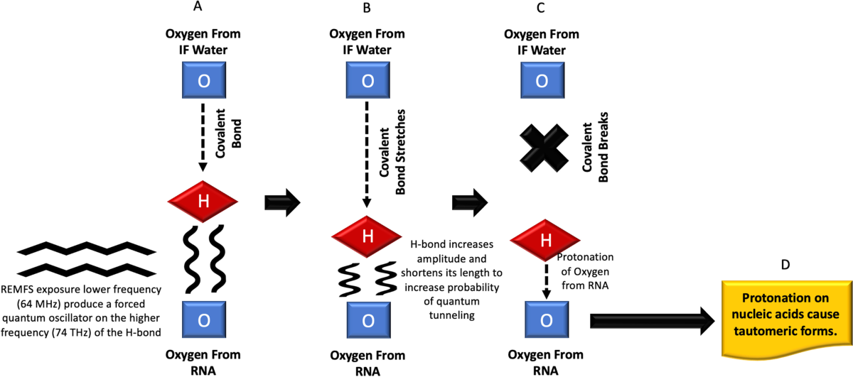 Multidimensional insights into the repeated electromagnetic field stimulation and biosystems interaction in aging and age-related diseases | Journal of Biomedical Science