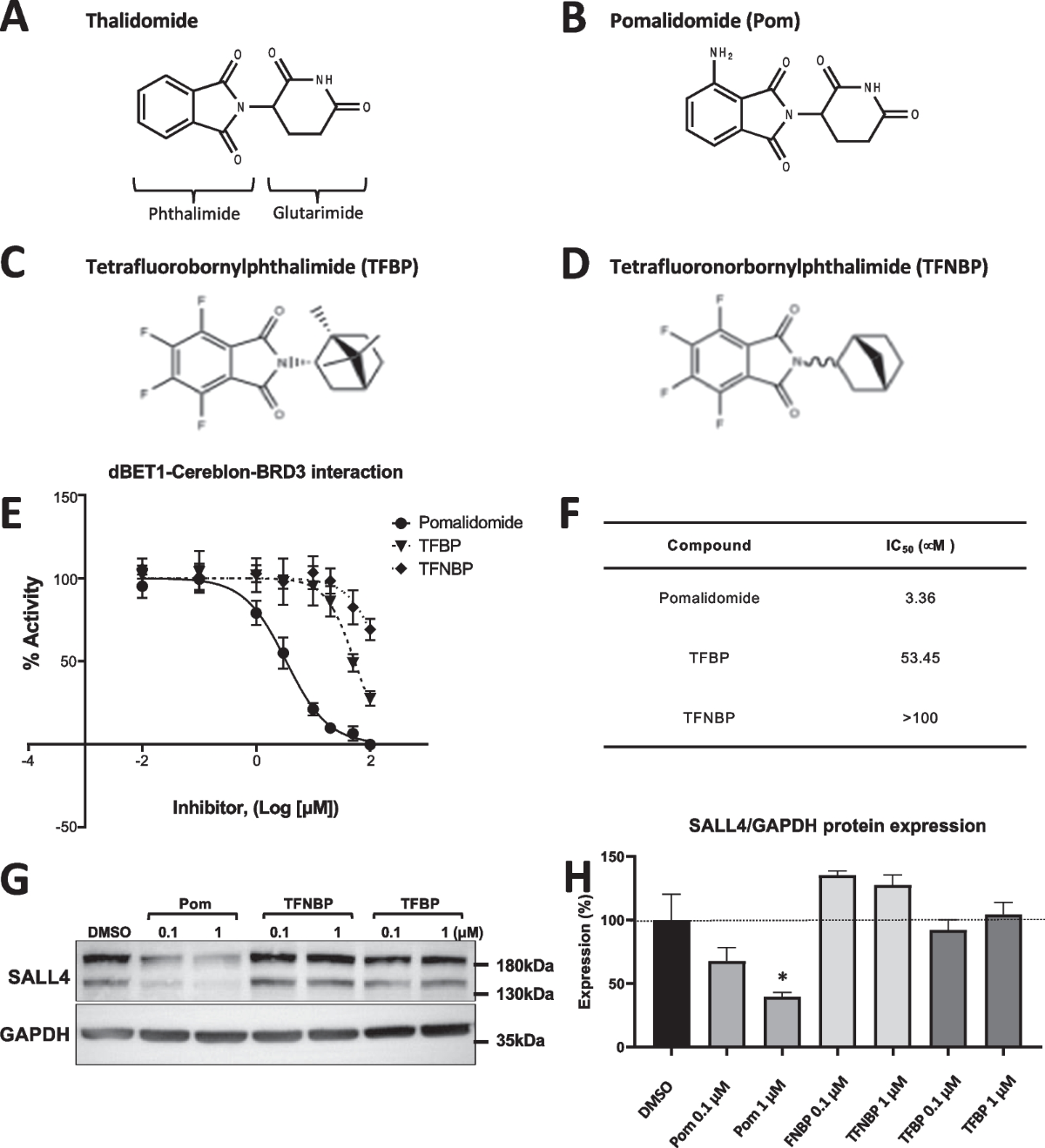 Novel, thalidomide-like, non-cereblon binding drug  tetrafluorobornylphthalimide mitigates inflammation and brain injury |  Journal of Biomedical Science | Full Text