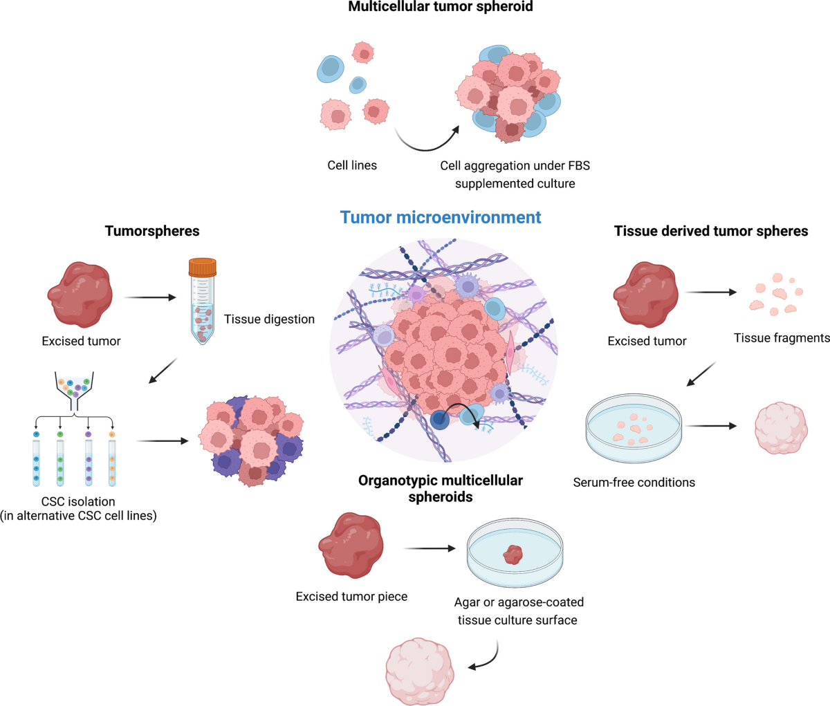 Modelling the complex nature of the tumor microenvironment: 3D tumor  spheroids as an evolving tool | Journal of Biomedical Science | Full Text