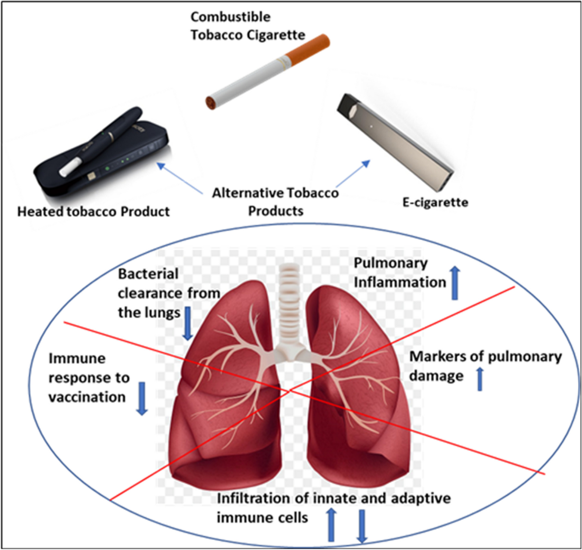 Do alternative tobacco products induce less adverse respiratory risk than  cigarettes? | Respiratory Research