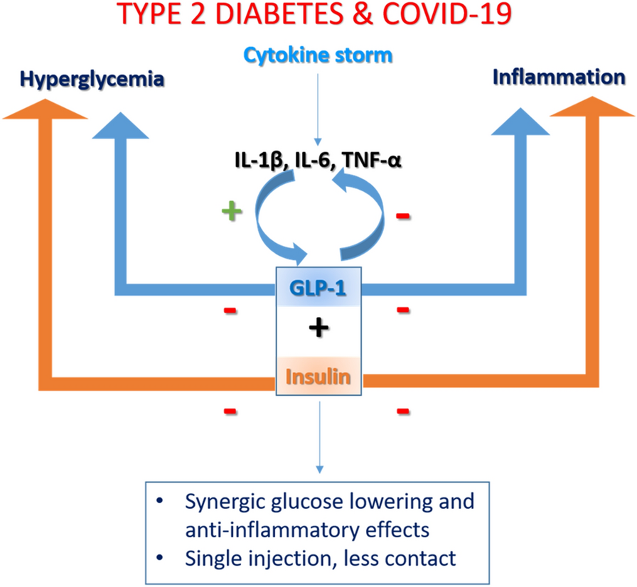 Treating type 2 diabetes in COVID-19 patients: the potential benefits of  injective therapies | Cardiovascular Diabetology