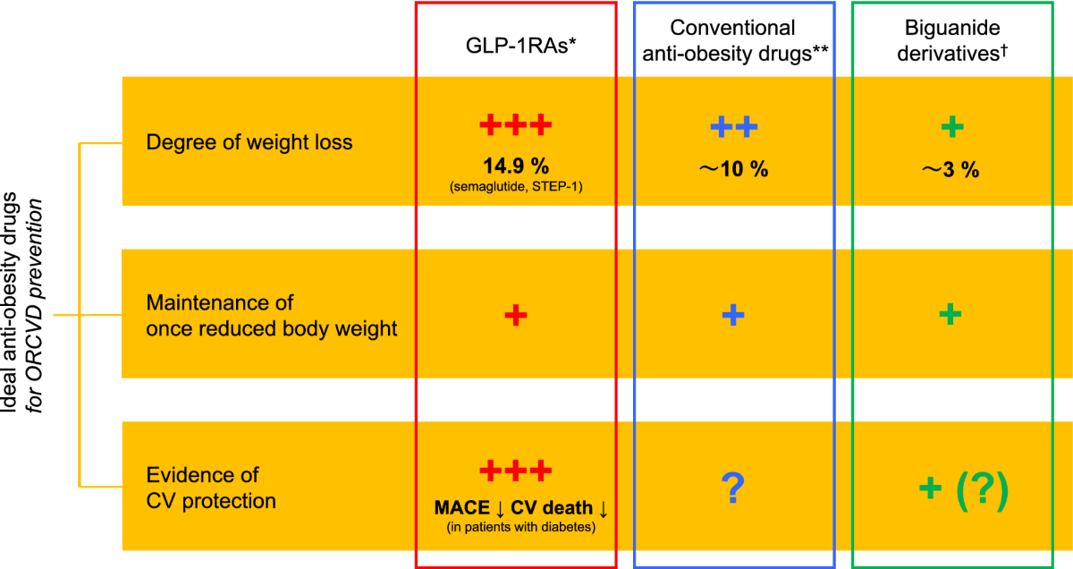 glp 1 anti obesity Anti-obesity therapy for cardiovascular disease prevention: potential  expected roles of glucagon-like peptide-1 receptor agonists |  Cardiovascular Diabetology