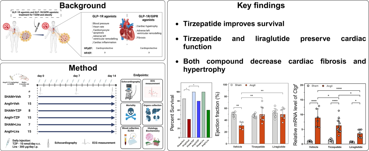 pcl tirzepatide Tirzepatide Associated with Lower POAG, OHT Risk Compared with Other GLP-1  Drugs