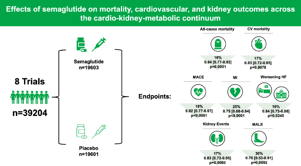does semaglutide affect kidneys Effects of semaglutide on mortality, cardiovascular, and kidney outcomes  across the cardio-kidney-metabolic continuum: a systematic review and  meta-analysis | Cardiovascular Diabetology