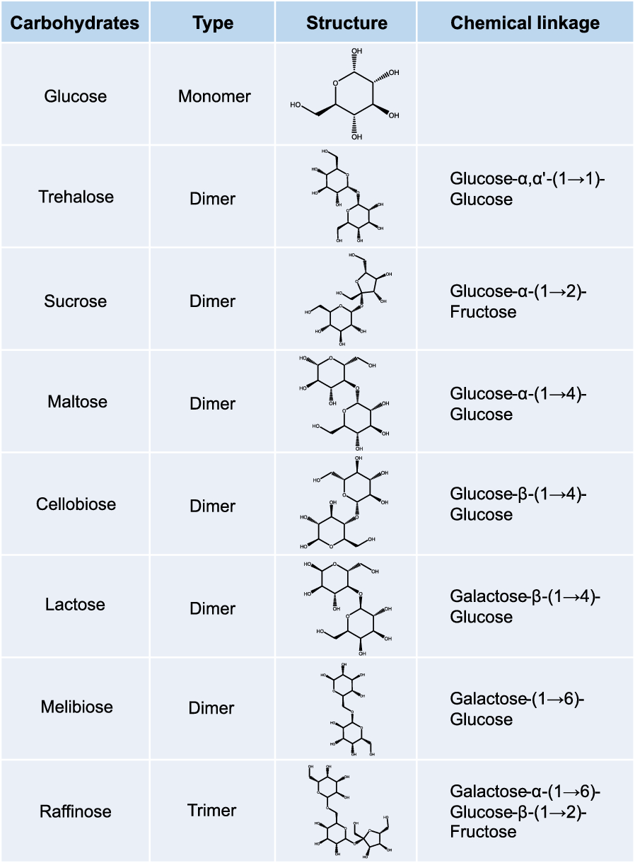 CH103 - Chapter 8: The Major Macromolecules - Chemistry, image size:898x1220