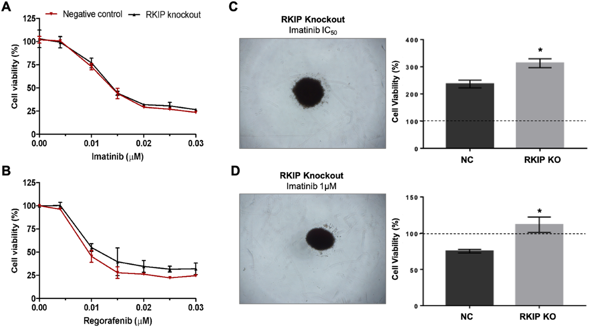 Biological and therapeutic implications of RKIP in Gastrointestinal Stromal  Tumor (GIST): an integrated transcriptomic and proteomic analysis | Cancer  Cell International | Springer Nature Link