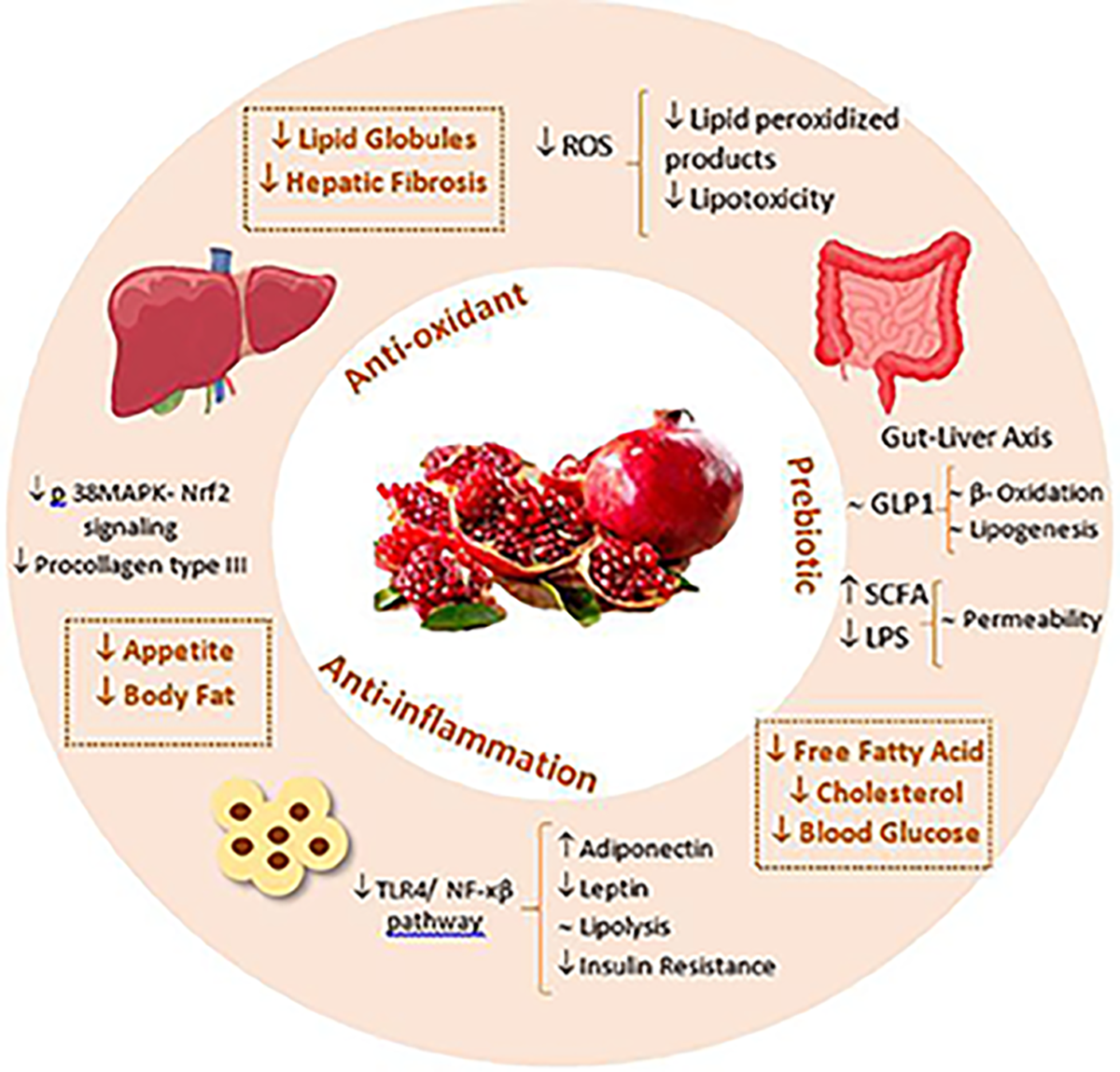 where to get retatrutide uk Retatrutide Weight Loss Cost: UK Pricing, Availability and Safe  Alternatives – Bolt Pharmacy