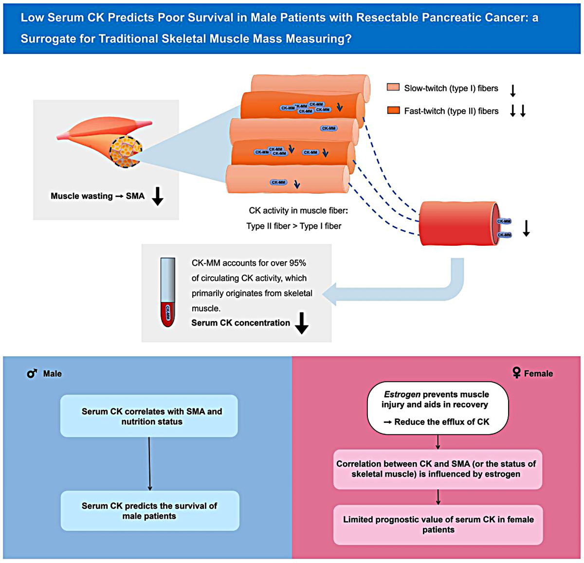 elevated creatine kinase and aldolase melanotan Rhabdomyolysis How to use: creatine kinase