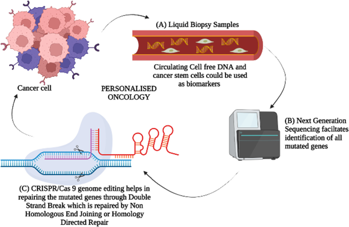 molecular-cancer.biomedcentral.com