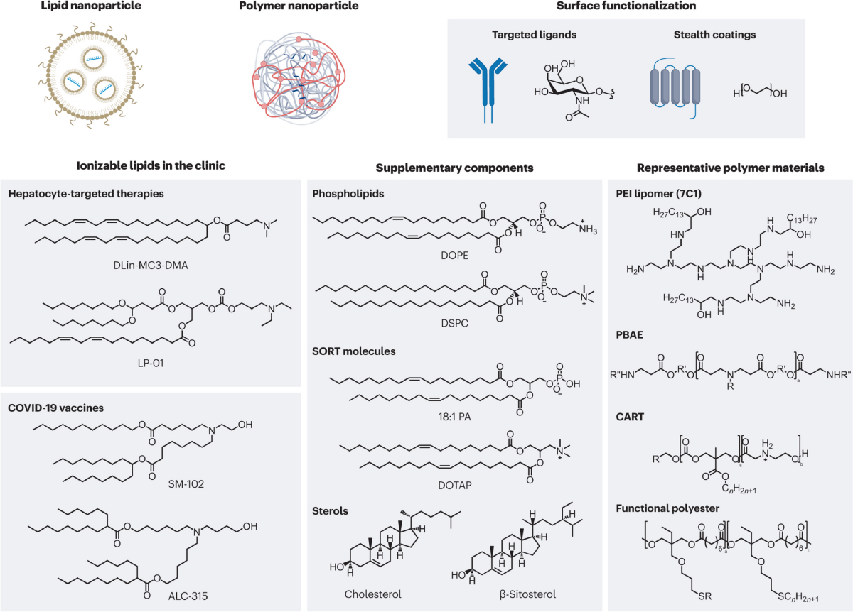 cp porn pics onion vk PDF) Effect of integrated nutrient management on yield of bitter gourd  (Momordica charantia L.)