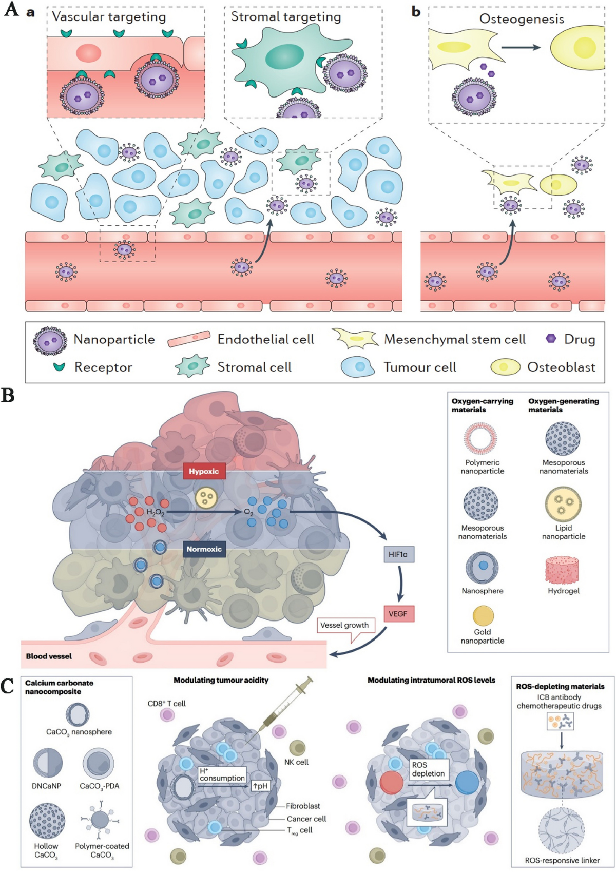 cp porn pics onion vk