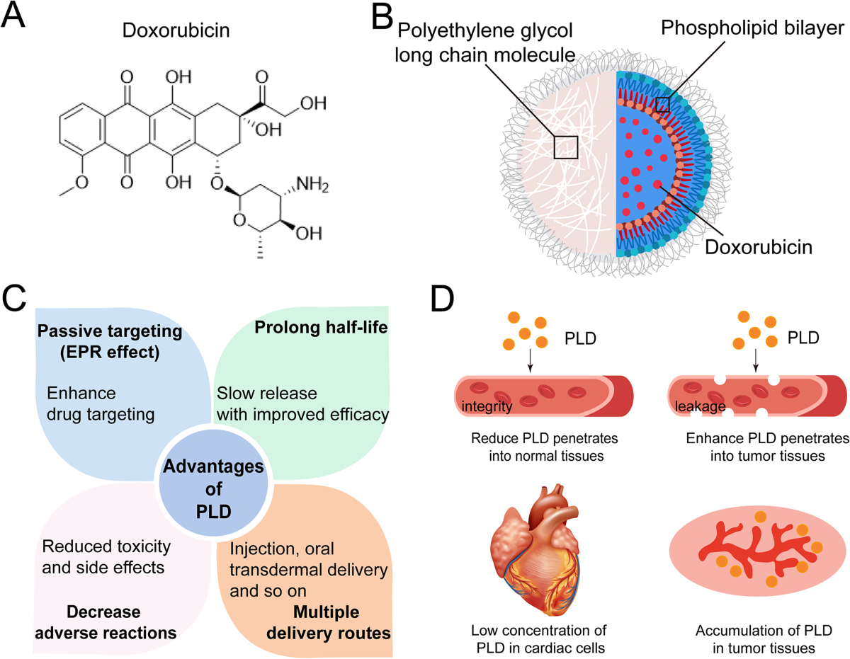 Nanoparticles and bone microenvironment: a comprehensive review