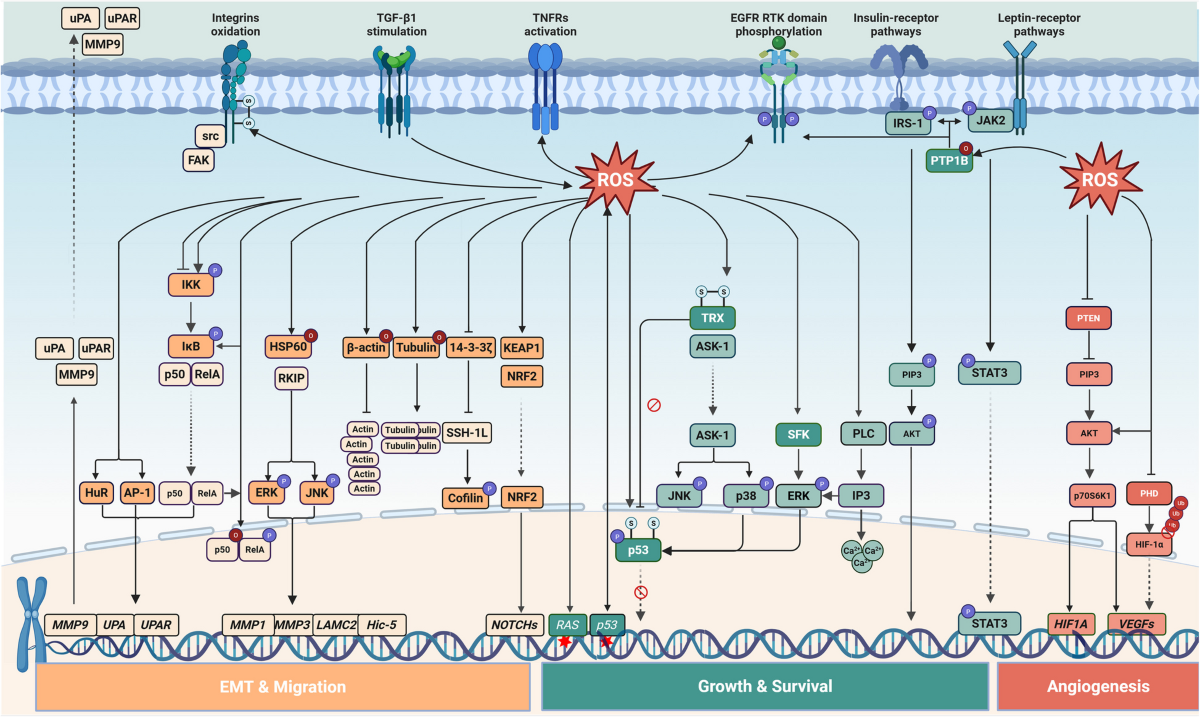 The profound link of intimate connection