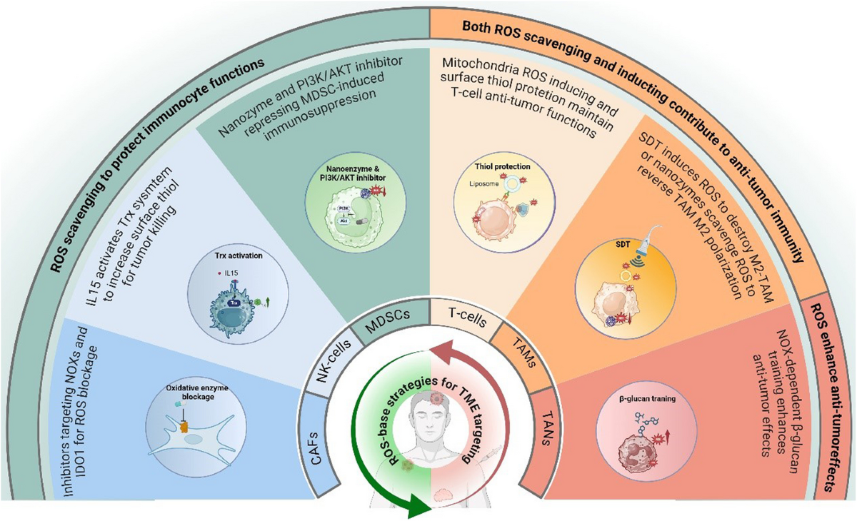 The electrifying tension of anticipation
