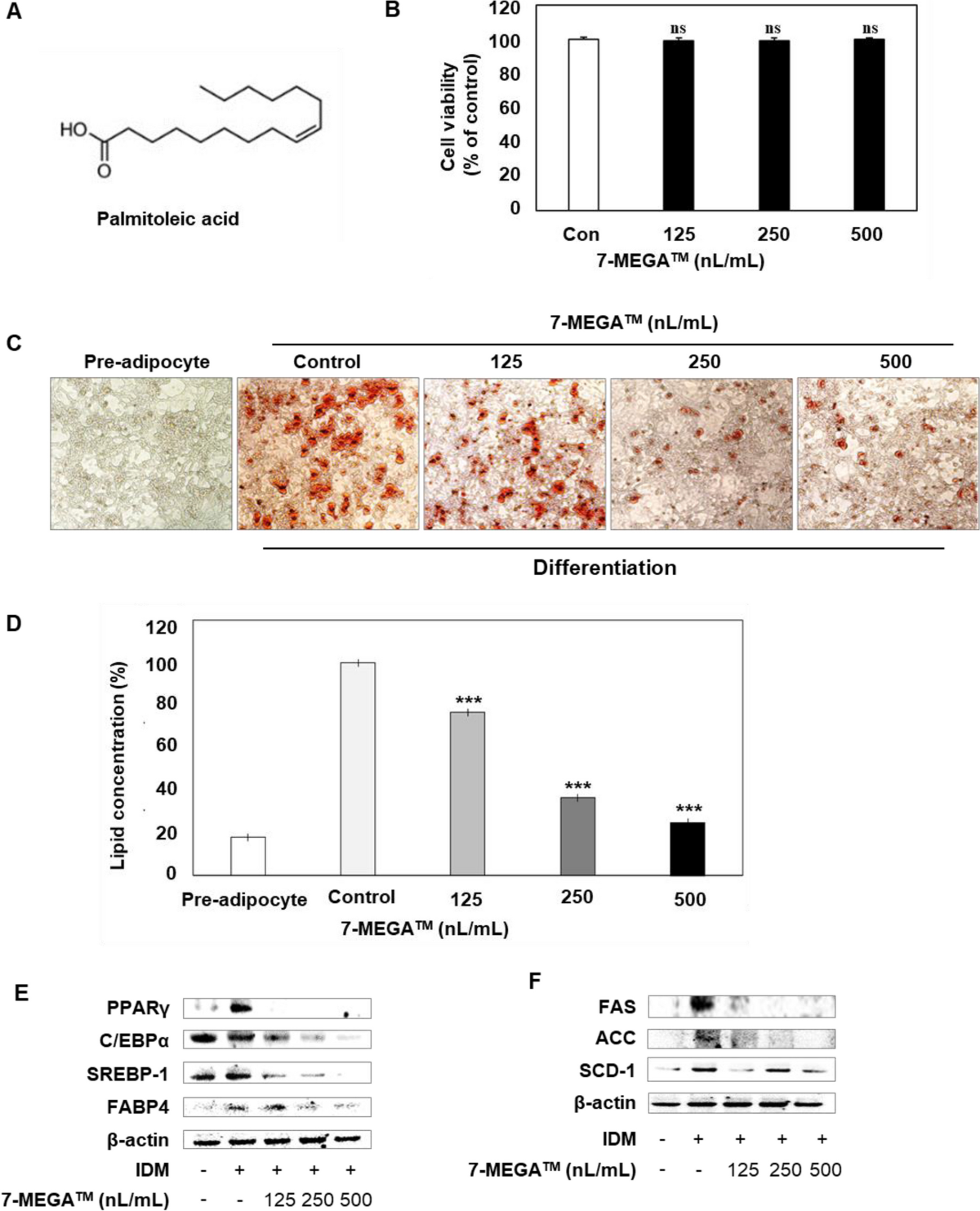 7-MEGA™ inhibits adipogenesis in 3T3-L1 adipocytes and suppresses obesity  in high-fat-diet-induced obese C57BL/6 mice | Lipids in Health and Disease 