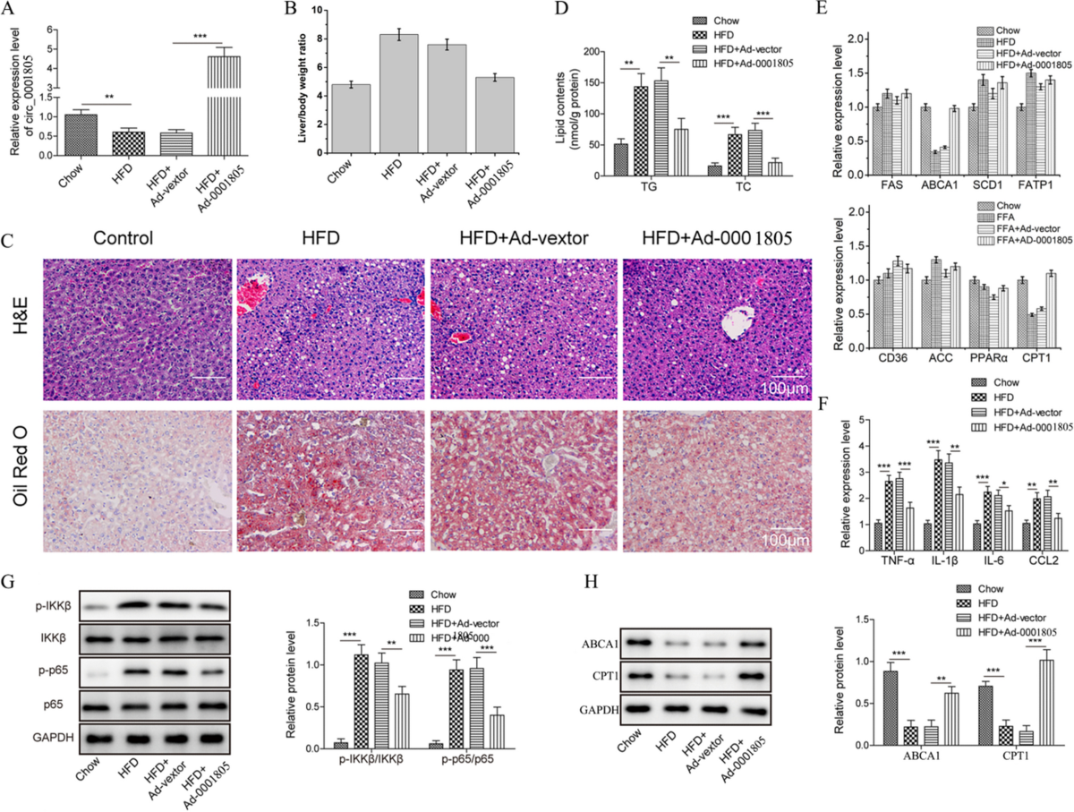 0014724 bitcoin worth (85) 사진