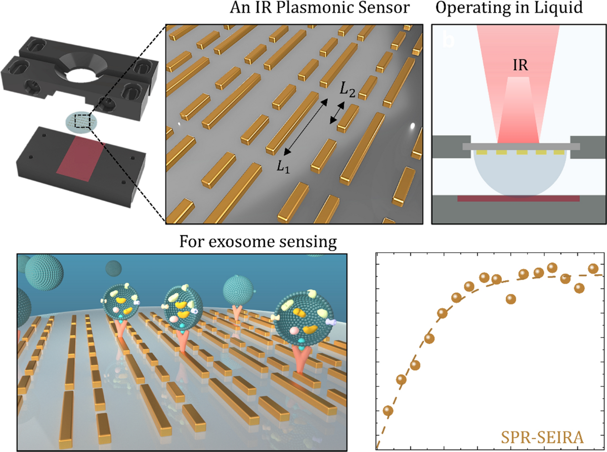 Antenna-enhanced mid-infrared detection of extracellular vesicles derived  from human cancer cell cultures | Journal of Nanobiotechnology
