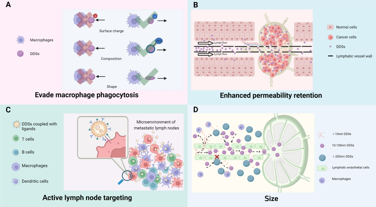 Revolutionizing lymph node metastasis imaging: the role of drug delivery systems and future perspectives | Journal of Nanobiotechnology | Springer Nature Link Revolutionizing lymph node metastasis imaging: the role of drug delivery systems and future perspectives | Journal of Nanobiotechnology | Springer Nature Link