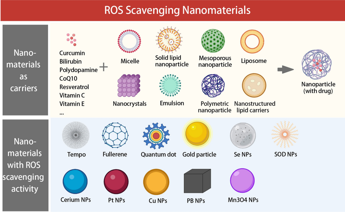 Reactive oxygen species-scavenging nanomaterials for the prevention and  treatment of age-related diseases | Journal of Nanobiotechnology